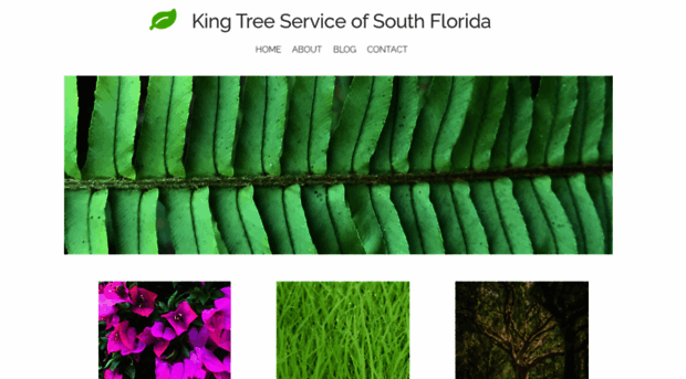 kingtreeservice.com