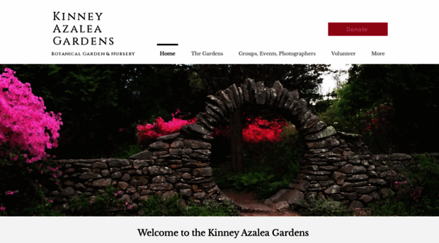 kinneyazaleagardens.com