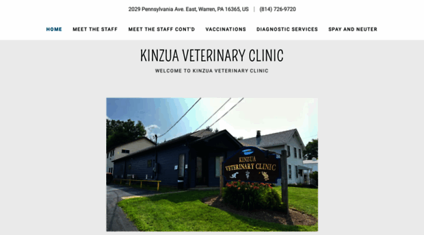 kinzuavetclinic.com