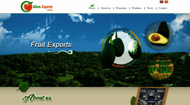 kionexport.com