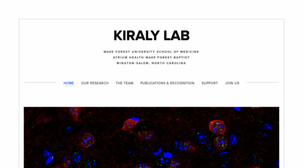 kiralylab.com