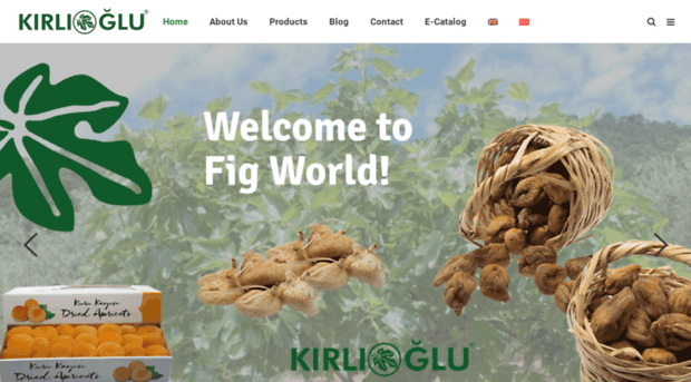 kirlioglu.com