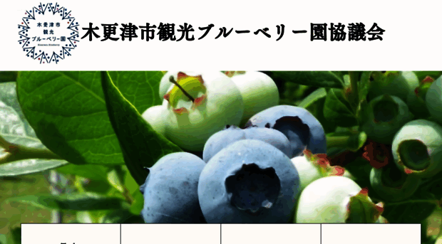 kisarazu-blueberry.com