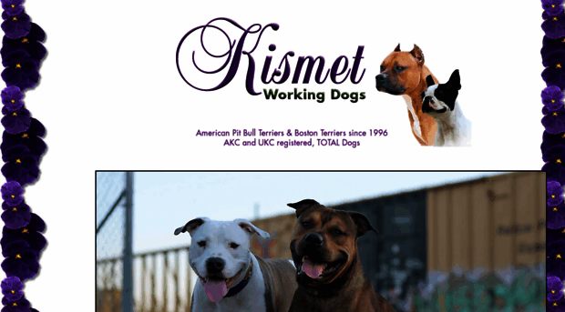 kismetkennel.com