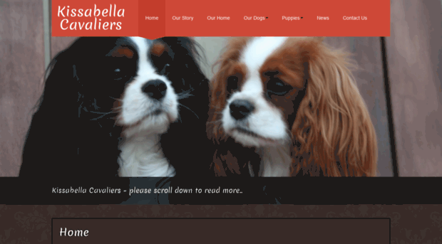 kissabellacavaliers.com