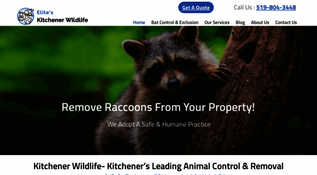 kitchenerwildlife.ca