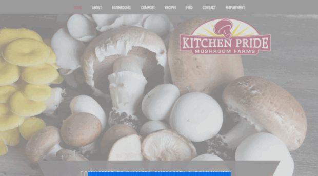 kitchenpride.com