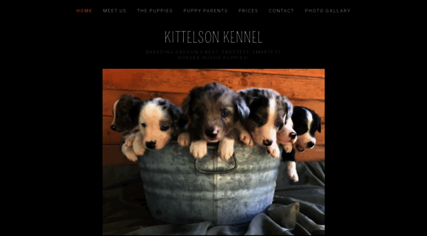 kittelsonkennel.com