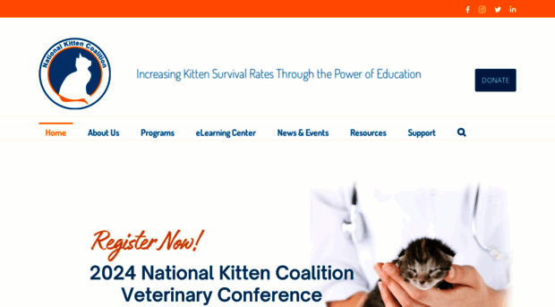 kittencoalition.org