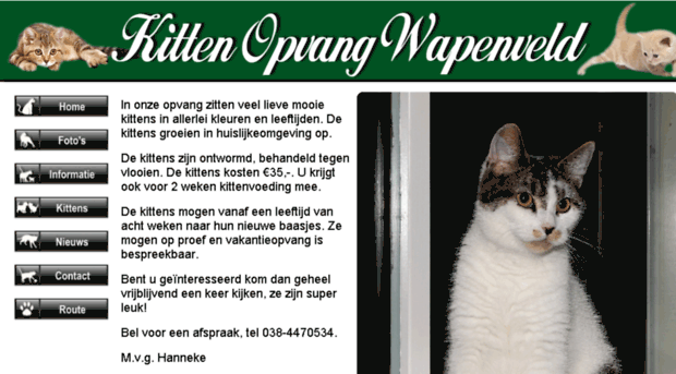 kittenopvangwapenveld.nl