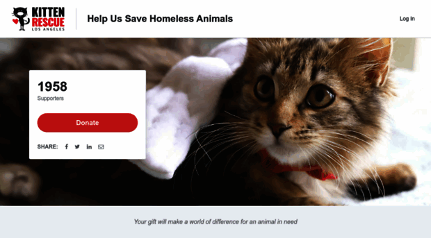 kittenrescue.networkforgood.com