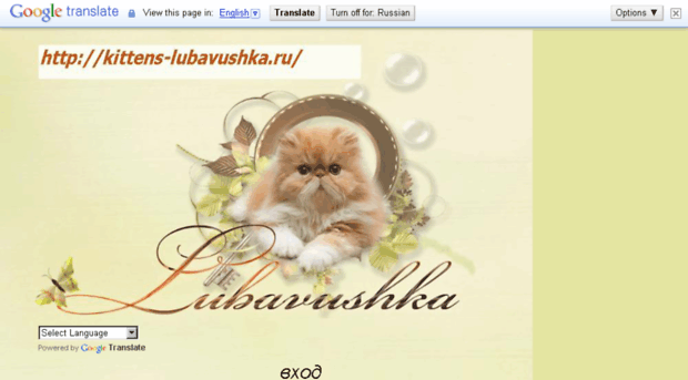 kittens-lubavushka.ru