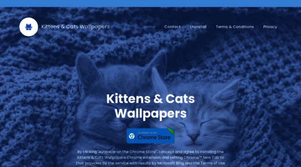 kittens-wallpapers.com