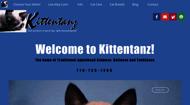 kittentanz.com