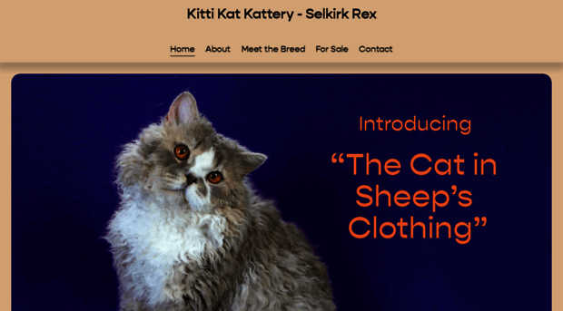 kittikatkattery.com