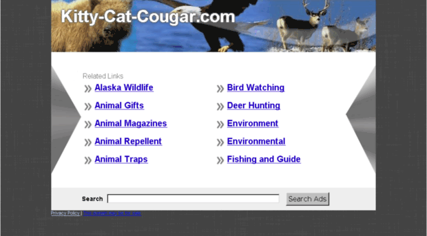 kitty-cat-cougar.com