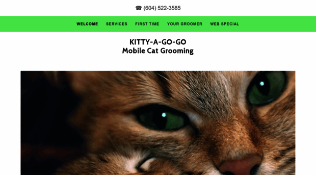 kittyagogo.ca