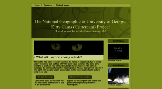 kittycams.uga.edu