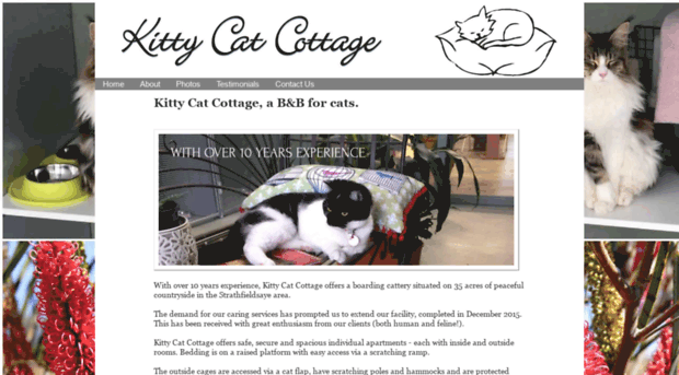 kittycatcottage.com.au