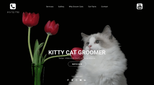 kittycatgroomer.com