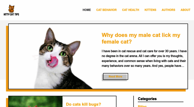 kittycattips.com