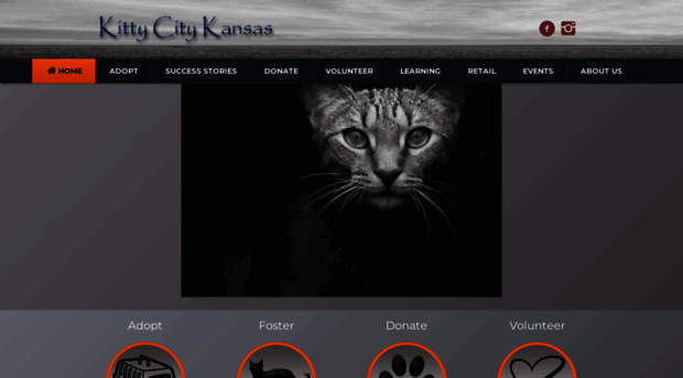 kittycityks.com