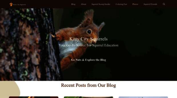 kittycitysquirrels.com