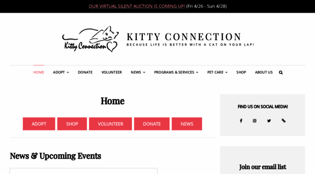 kittyconnection.net