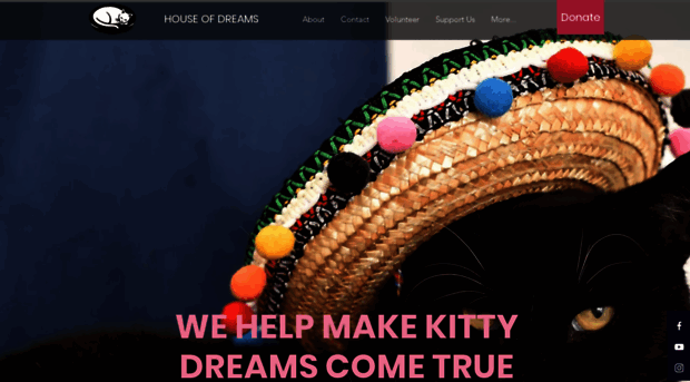 kittydreams.org