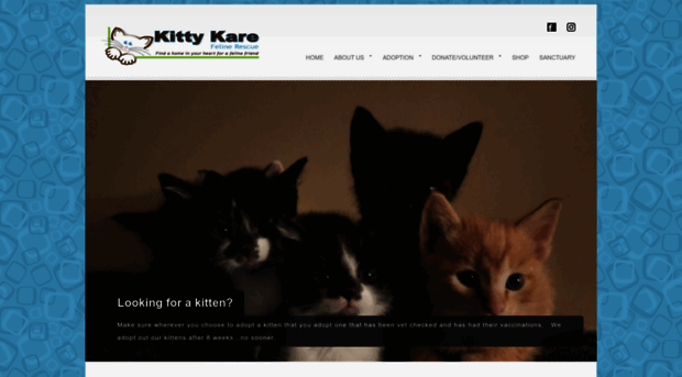 kittykare2010.org