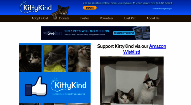 kittykind.org