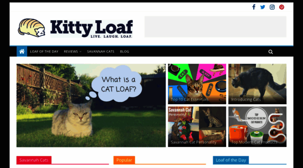 kittyloaf.com