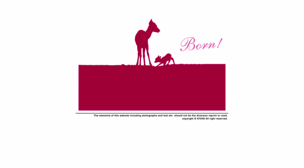 kivas-clara.com