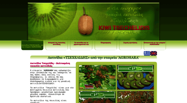 kiwi-tsechelidis.com