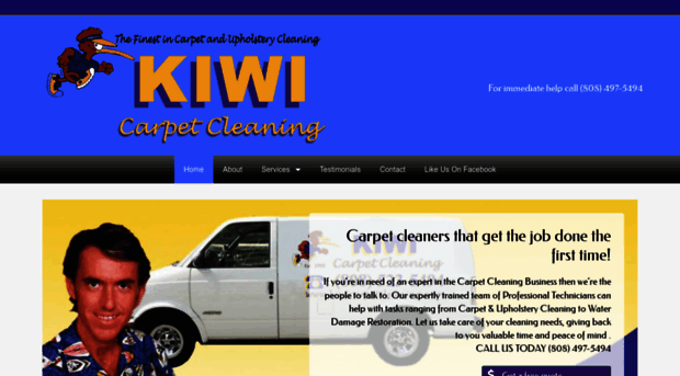 kiwicarpetcleaning.com