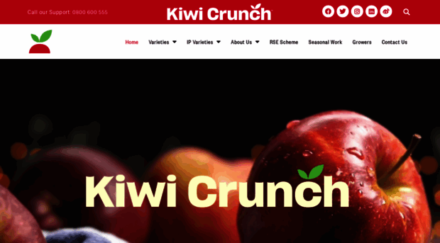 kiwicrunch.com