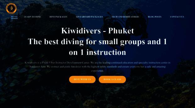 kiwidiver.com