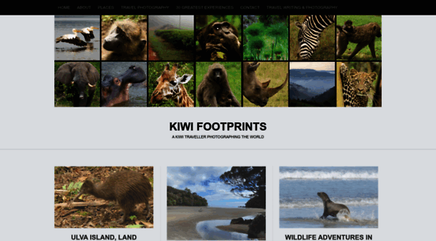 kiwifootprints.com