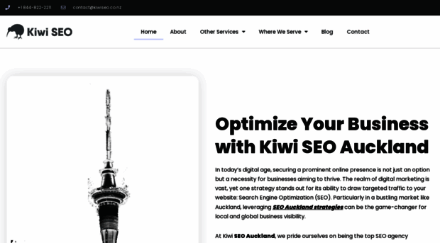 kiwiseo.co.nz