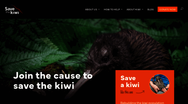 kiwisforkiwi.org