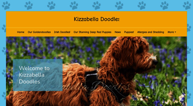 kizzabelladoodles.co.uk