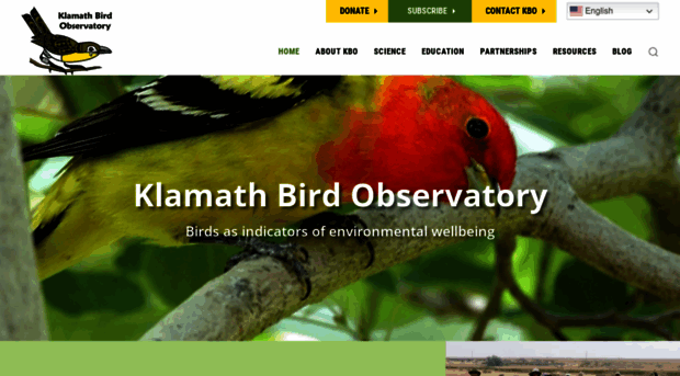 klamathbird.org