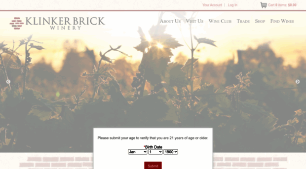 klinkerbrickwinery.com