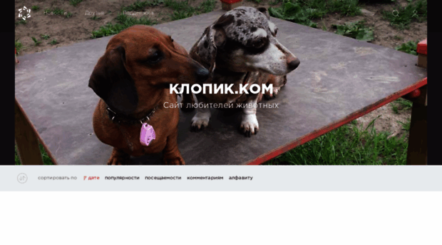 klopik.com