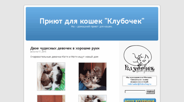 Приют Для Кошек В Белгороде Адрес И Телефон