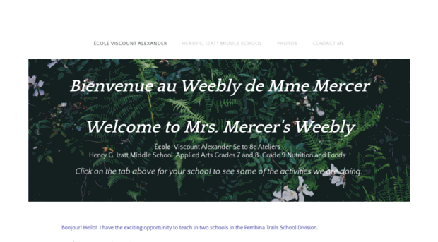 kmercer.weebly.com