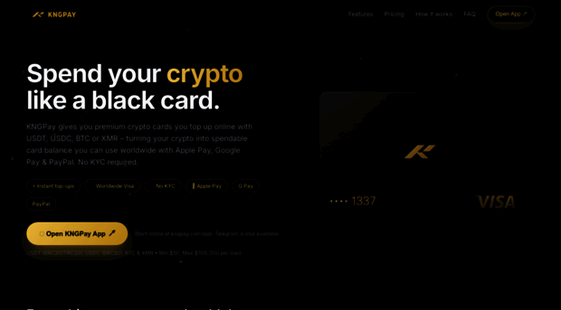 kngpay.com