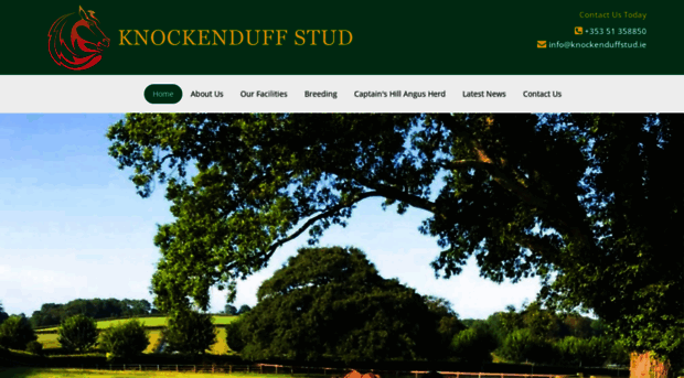 knockenduffstud.ie