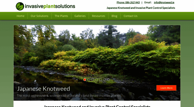 knotweed.ie