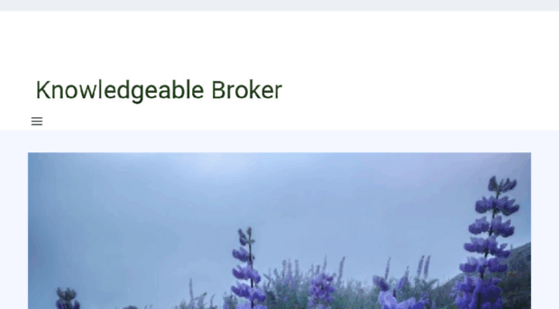 knowledgeablebroker.com